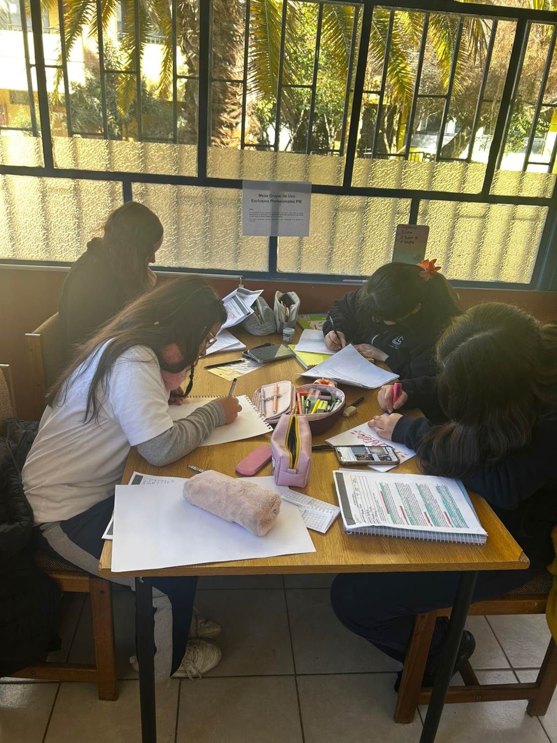 Estudiantes trabajando en grupo sobre sus lecturas y apuntes, vista cenital